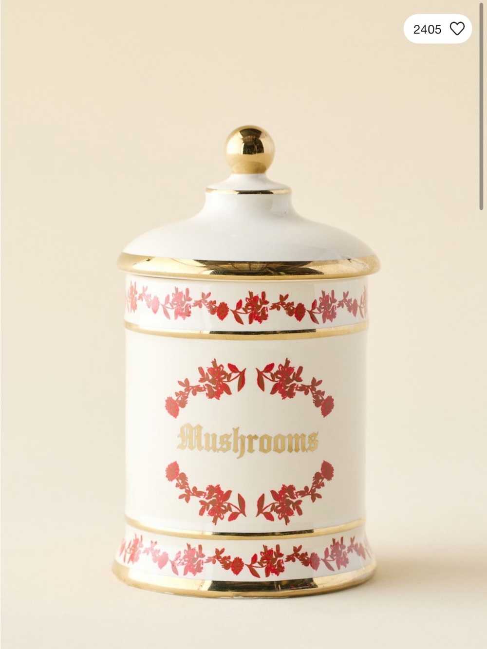 NWT - UO Ceramic Mushrooms Jar